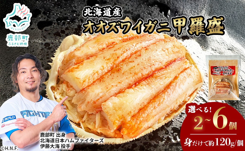 
                  北海道産 オオズワイガニ 甲羅盛 2～6個 約120g/個 ボイル済み 蟹 カニ 甲羅 かにみそ
                