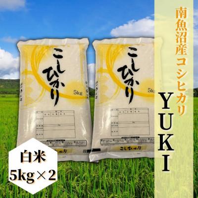 ふるさと納税 南魚沼市 【令和8年産 新米予約】南魚沼産コシヒカリ「YUKI」(精米10kg)新潟県の特A地区の美味しいお米