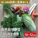 【ふるさと納税】BI-10 【12ヵ月定期便】自然栽培野菜10～12品目（3月4月は白米または玄米5kg）野菜 野菜詰め合わせ やさい セット 野菜ボックス 10種類 旬の野菜をお届け 送料無料 国産 茨城県産