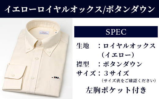 HITOYOSHIシャツ 新作 くまモン イエロー ロイヤルオックス 1枚 
