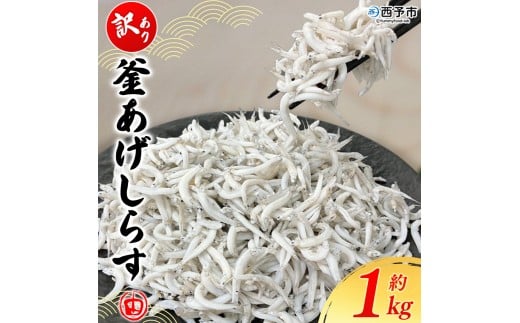 ＜訳あり 釜あげしらす 約1kg＞ 老舗網元 釜揚げ しらす シラス 海鮮 ちりめん 海産物 丼 おにぎり 具材 ご飯 おつまみ おやつ 小魚 国産 1キロ マルヨシ水産 特産品 愛媛県 西予市【冷凍】『1か月以内に順次出荷』