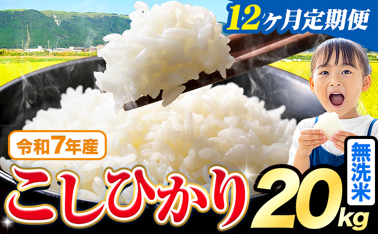 【12ヶ月定期便】令和7年産 米 無洗米 こしひかり 20kg《お申込み翌月から出荷》熊本県産 ふるさと納税 無洗米 ひの 米 こめ ふるさとのうぜい コシヒカリ コメ お米 おこめ---reihoku_loc_460_mo12---