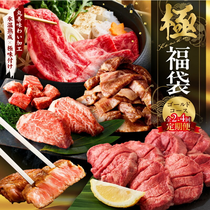 【ふるさと納税】極 福袋 ゴールドコース 定期便 2回 / 3回 / 4回 【毎月配送】 5種 食べ比べ 牛肉 サーロイン ステーキ 牛タン ヒレ バラ 焼肉 しゃぶしゃぶ すき焼き 肉 焼くだけ セット 大阪府 泉佐野市 送料無料 熟成肉 氷温熟成 ふるさと納税オリジナル 限定