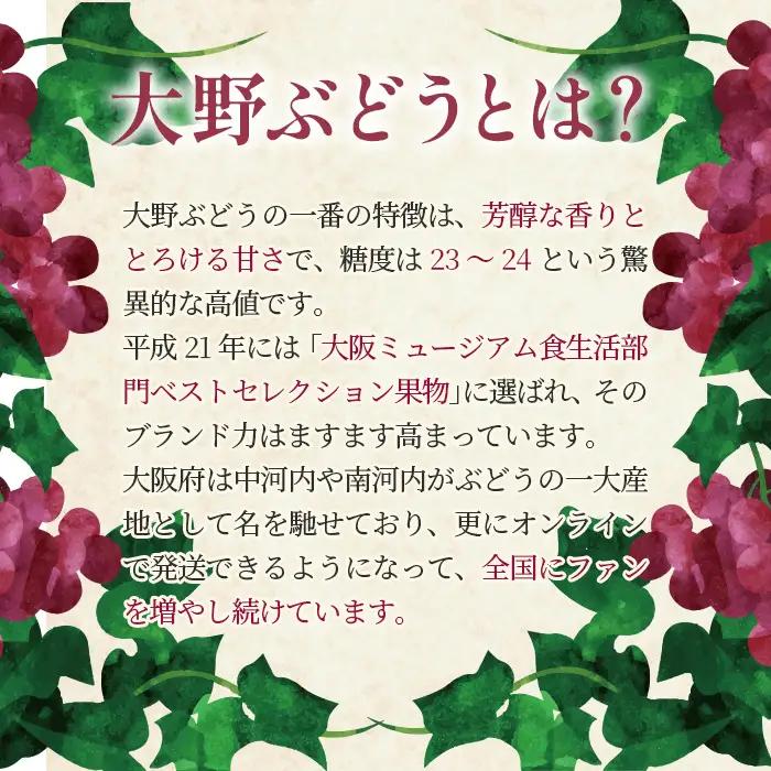 ピオーネ2房とデラウエアの詰め合わせ No.311