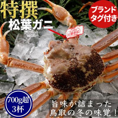 ふるさと納税 八頭町 【活物】特撰 松葉がに(タグ付き)700g超の大きいサイズ　特大3杯