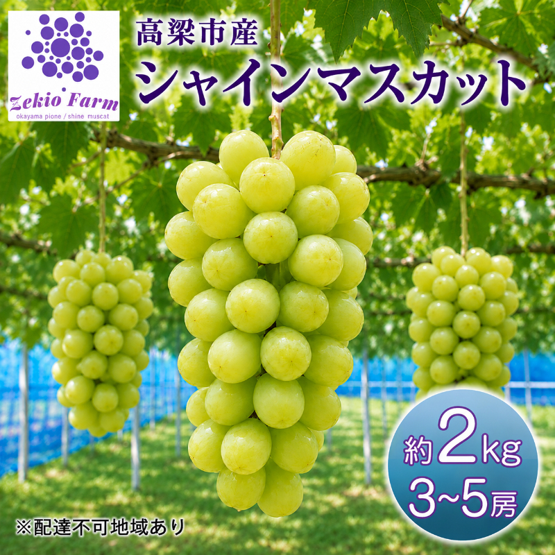シャインマスカット 2kg 3房～5房 葡萄 フルーツ 岡山 高梁市産 ぜきお農園 ぶどうclub 2026年 先行予約