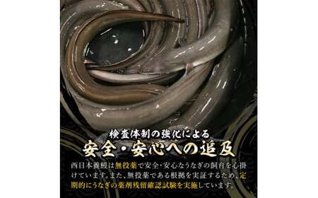 【無投薬にこだわったうなぎ】鹿児島県産きざみうなぎ蒲焼5袋【国産】 2127