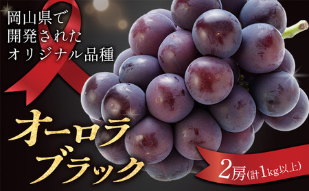 岡山県産 オーロラブラック 2房(計1kg以上) 環山堂株式会社《7月中旬-8月上旬頃出荷》岡山県 浅口市 ぶどう ブドウ 葡萄 果物 フルーツ 送料無料