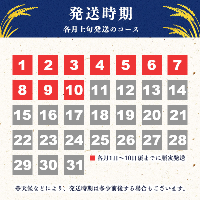 ＜ 2025年12月上旬＞ 《先行予約》令和7年産 はえぬき 5kg（5kg×1袋） 山形県産 2025年産 　010-C-JA007-2025-12J 2025年12月上旬　発送コース