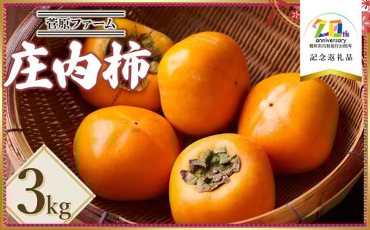 【令和7年産先行予約】　庄内柿　約3kg　山形県鶴岡市産　【市制施行20周年記念返礼品】　菅原ファーム　