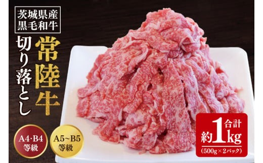 【数量限定】常陸牛切り落とし 約1㎏（500g×2p）【水戸市 牛肉 常陸牛 お肉 小分け 自家用におすすめ おいしい ブランド牛 ステーキ 数量 限定 スライス加工】（BG-20）