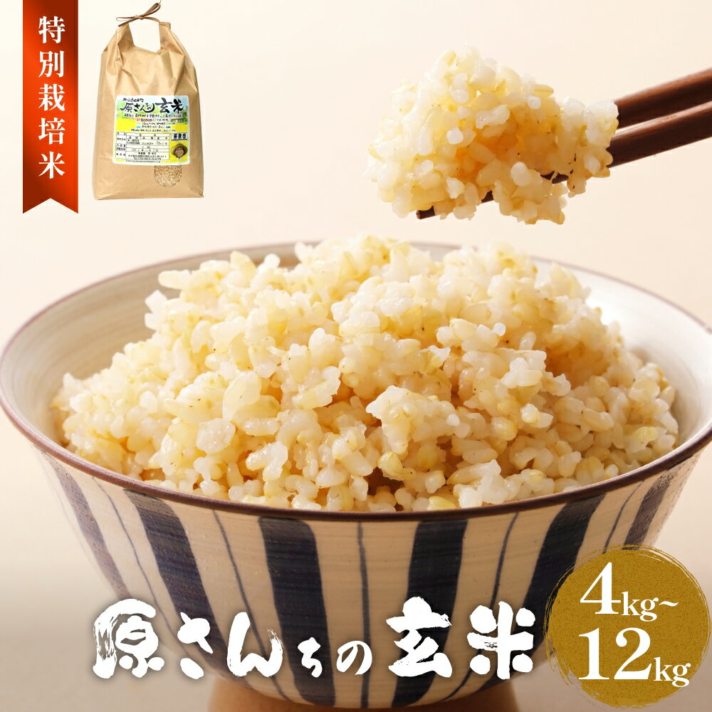 【ふるさと納税】令和7年度産 原さんちの玄米 玄米 選べる 4kg-12kg ヒノヒカリ 有機質肥料 特別栽培米 原農園 完熟堆肥 アートテン農法 抗酸化農法 有効微生物農法 光合成 体に良い 美味しい お米 安全 清潔 環境に優しい 栄養価 高品質 産地直送 健康志向