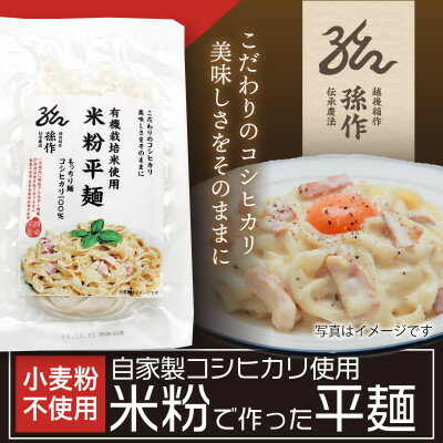 【ふるさと納税】米粉麺 平麺 グルテンフリー 128g×6食パック 小麦粉不使用【1551465】