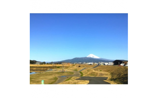 
川の駅　伊豆ゲートウェイ函南　キャンプ利用券(5,000円分)【1221522】
