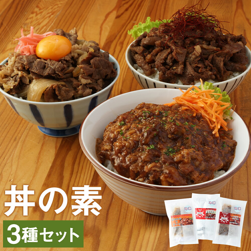 【ふるさと納税】ハヤシ・牛丼・カルビ丼の素 200g×各1個 合計600g 3種類 セット 温めるだけ 食べ比べ 丼の素 牛丼 ハヤシ丼 カルビ丼 冷凍 送料無料