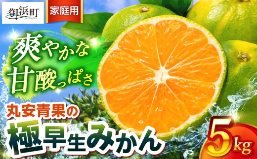 丸安青果の極早生みかん5キロ（家庭用) 【果物 フルーツ  訳あり 家庭用 蜜柑 みかん 極早生みかん 5kg 三重県 御浜町】