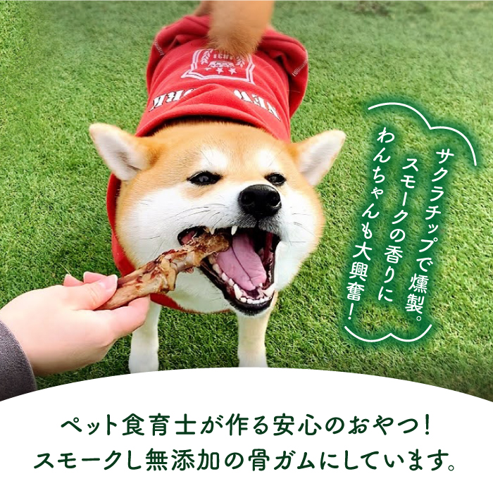 ＜12回定期便＞中型犬向け☆天然いのししのスモーク骨ガム4本わんこin食堂/吉野ヶ里町 [FCG075]