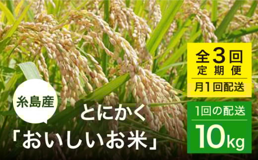 【全3回(月1)定期便】とにかくおいしいお米 ひのひかり または にこまる 10kg 糸島市 シーブ [AHC050]