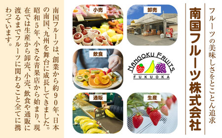 福岡県産 冬あまおう 2パック 南国フルーツ株式会社《12月上旬-1月末頃出荷》福岡県 小竹町 あまおう いちご イチゴ 送料無料【配送不可地域あり】
