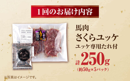 【全3回定期便】馬肉 さくらユッケ 50g×5パック 計250g お肉 桜ユッケ 赤身 生食 小分け 冷凍【五右衛門フーズ熊本店】[AYBV028]