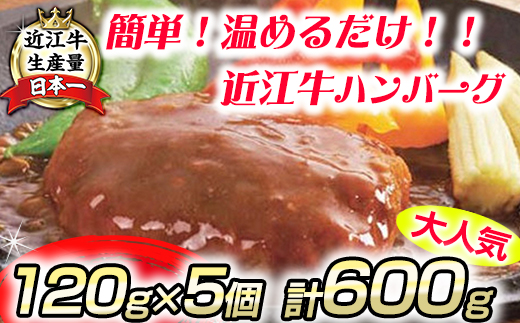【総本家肉のあさの】近江牛ハンバーグ【600ｇ（120ｇ×5個）】【AE14W】