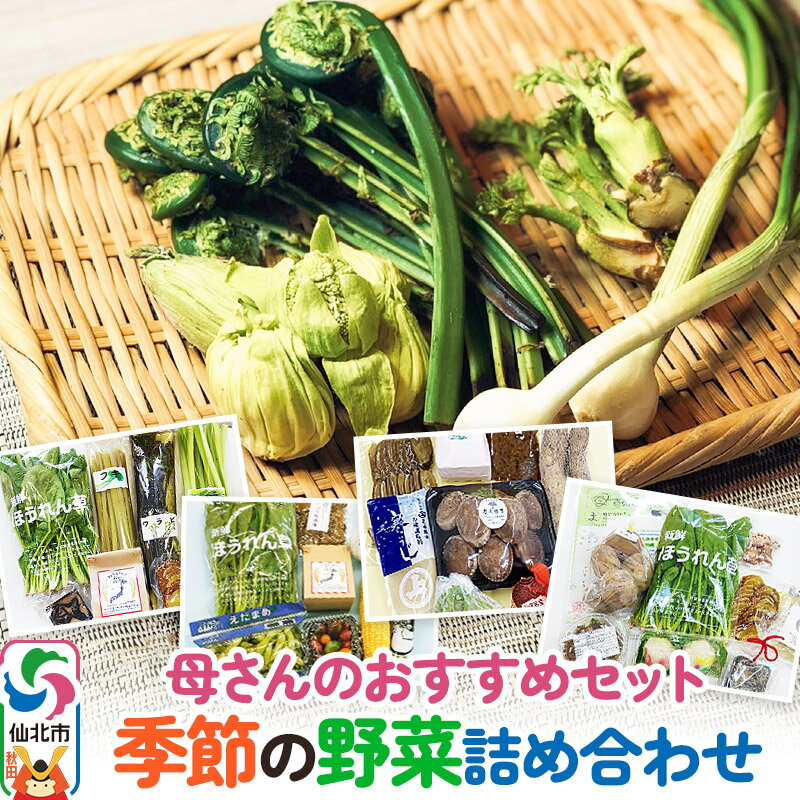 【ふるさと納税】《2026年2月上旬配送》母さんのおすすめセット〜季節の野菜詰め合わせ〜