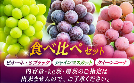 【先行予約】【数量限定】ぶどうの宝石 3色 贅沢食べ比べセット 計2.5〜3kg（4〜6房）【合同会社 社方園】ぶどう 詰め合わせ  セット 食べ比べ 熊本 ぶどう食べ比べ ぶどうセット 熊本のぶどう
