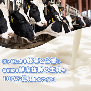 湘南茅ヶ崎の人気店 プレンティーズのアイスクリーム＆ワッフルセット のし有