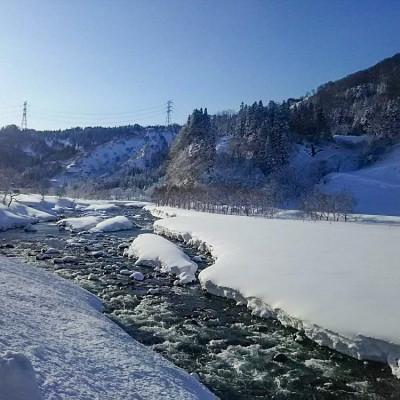 ふるさと納税 十日町市 【2ヵ月毎定期便】農家直送!魚沼産コシヒカリ特別栽培 精米(10kg×1袋)全6回 |  | 03