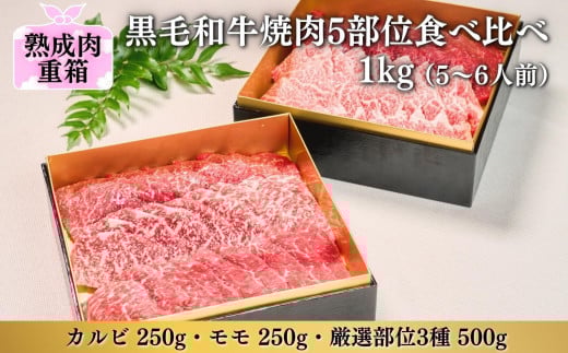 《格之進》熟成肉二段重 黒毛和牛 焼肉 5部位食べ比べ1kg（5～6人前）