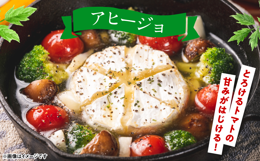 【先行予約】魅せる・美せる・味せる！「３み」一体ミニトマト！ 八代市産 トマト ミニトマト 約3kg 野菜 とまと 熊本県 八代市 【2025年10月下旬より順次発送】