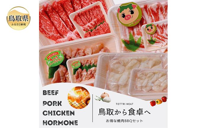 
                  鳥取県産　焼肉セット 2.4ｋｇ (６?１０人前） ホルモン 丸腸 牛肉 豚肉 鶏肉 バーベキュー 鳥取産 BBQ ファミリーセット_T2600254
                
