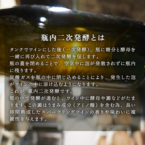 京都丹波 トラディショナル（Traditional） 瓶内二次発酵 750ml 1本 スパークリングワイン 伝統製法のスパークリングワイン 丹波スパークリングワイン 瓶内二次発酵スパークリングワイン