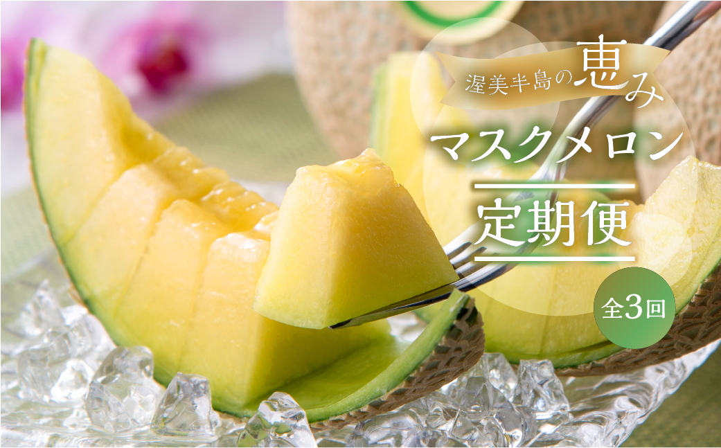 
                  【定期便】先行予約 マスクメロン 3回お届け  伊良湖産 2玉 3Lサイズ 2026年7月スタート  日研農園
                
