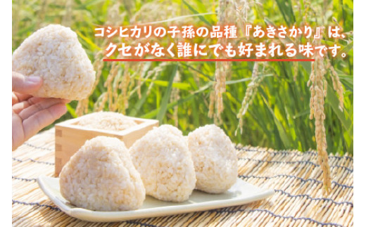 【令和6年産】 福井県産 あきさかり 玄米 30kg 若狭の恵 [BFAG015]
