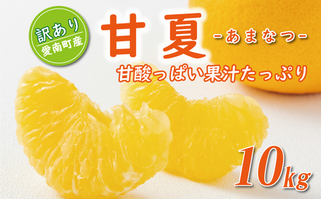 先行予約 訳あり 甘夏 10kg 7000円 樹齢25年 以上 みかん mikan 蜜柑 あまなつ 夏みかん グレープフルーツ だいだい 家庭用 事前 予約 受付 産地直送 国産 農家直送 糖度 期間