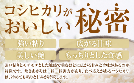 米 白米 コシヒカリ 令和8年産 5kg 森田農園