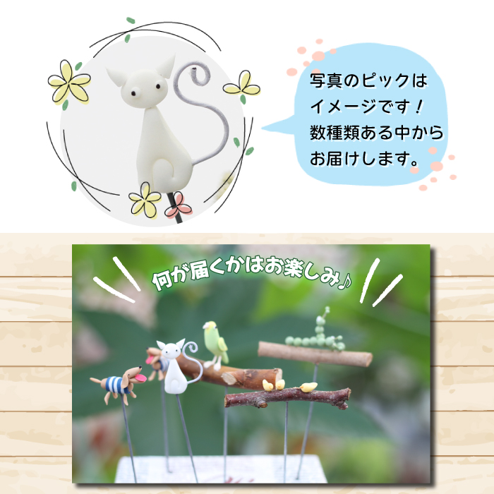 サボテン＆多肉植物の寄せ植え【黒ポット】 ／ インテリア 植物 ギフト おしゃれ 彩花園