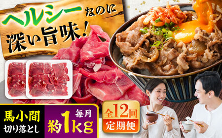 【全12回定期便】馬小間切り落とし 約1kg (約500g × 2パック) / 馬肉 こま切れ きりおとし 切落とし 馬小間 熊本 馬肉 切り落とし ヘルシー【五右衛門フーズ】[BHCY040]