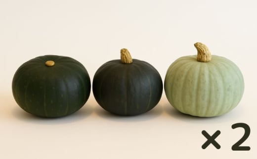 【先行予約】北海道 かぼちゃ ダークホース・とっておき・特濃こふき 3種類×2個 【9月中旬以降発送】足寄町/足寄アグリバイオ株式会社かぼちゃ カボチャ ダークホース　とっておき　特濃こふき ハロウィン グラタン スープ 旬 新鮮 北海道産 道産 寒冷地 あしょろ [BEAC013]