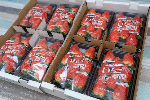 【ふるさと納税】中川村の大粒いちご（章姫）約2000g（8P）[2025年 1月中旬〜発送予定 数量限定 農家直送 果物 フルーツ いちご イチゴ]