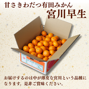▼有田みかん 2kg（小玉）（2S～S） ※12月上旬〜1月上旬頃順次発送予定 【ymk004-2-s】