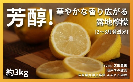 【2027年 2～3月発送】 芳醇! 文田農園のレモン 約3kg 瀬戸内 広島 大崎上島 離島 柑橘 檸檬 露地栽培 果物 フルーツ 贈答用 ギフト 送料無料 産地直送 お取り寄せ