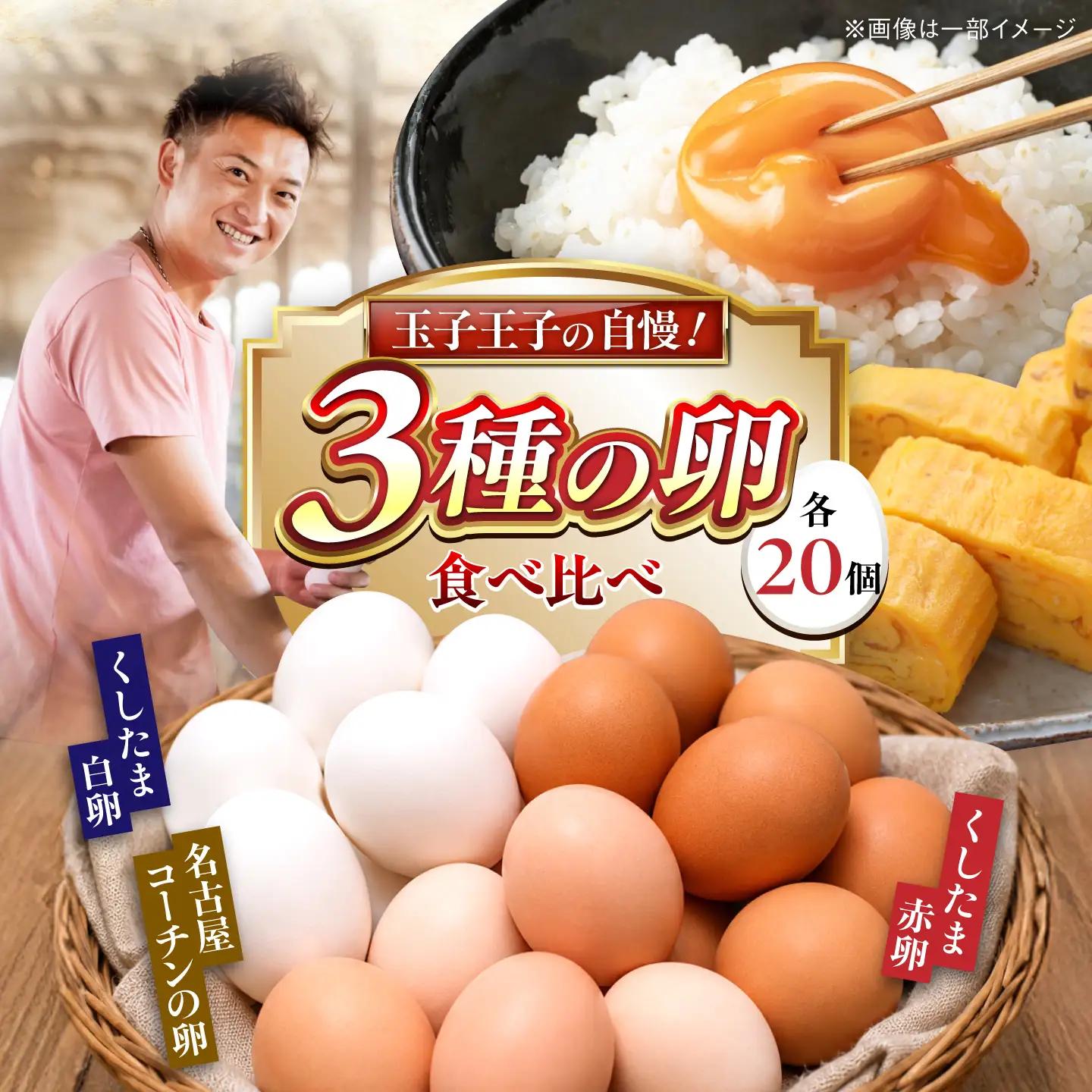 3種食べ比べ 大容量セット 60個（名古屋コーチン20個・赤卵20個・白卵20個）/ 卵 たまご / 稲沢市 / 櫛田養鶏場[BMAY010]