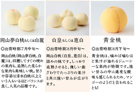 【ご家庭用】岡山白桃 清水白桃 5～7玉