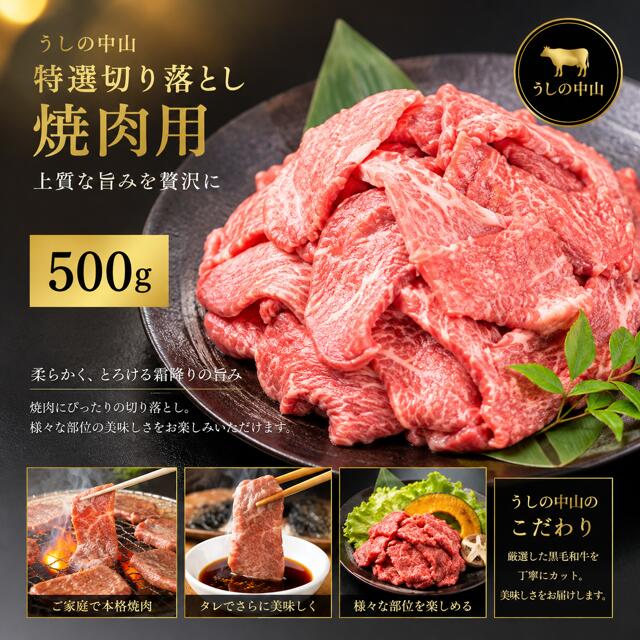 【ふるさと納税】【うしの中山】 切り落とし 焼肉 用 500g【日付指定不可】