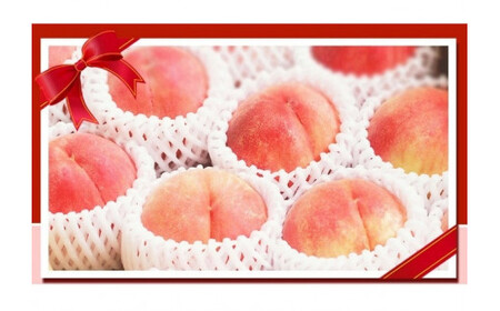 紀州和歌山産の桃　１５玉　化粧箱入 ※2024年6月中旬頃～8月中旬頃順次発送（お届け日指定不可）【uot780】