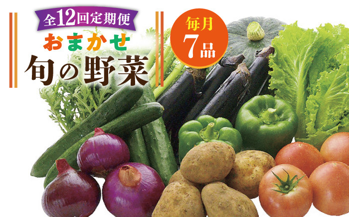 
【全12回定期便】旬の野菜セット 7品《壱岐市》【壱岐市農業協同組合】 [JBO046] 野菜 ベジタブル 食材 詰め合わせ 産地直送 野菜セット グルメ 春 夏 秋 冬 旬 サラダ 冷蔵 夏野菜 スムージー 定期便 108000 108000円
