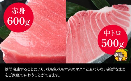 本まぐろ 中トロ 約500g・赤身 約600gセット 鮪 海鮮丼 刺し身 刺身 盛り合わせ 冷凍 魚の刺身 大分県産 九州産 津久見市 国産【tsu000309】