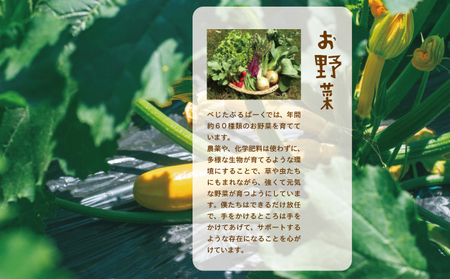 【大阪能勢産】 《農家直送》 べじたぶるぱーくの旬の新鮮野菜詰合せ Lセット (10種類)